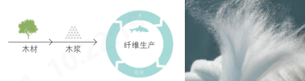 尊龙凯时人生就是博科技